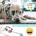 81UKxaQo9sL._AC_UF1000,1000_QL80_FMwebp_DpWeblab_.webp