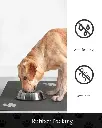 517gdIDqLeL._AC_UF1000,1000_QL80_FMwebp_DpWeblab_.webp