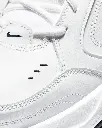 AIR+MONARCH+IV(5).webp