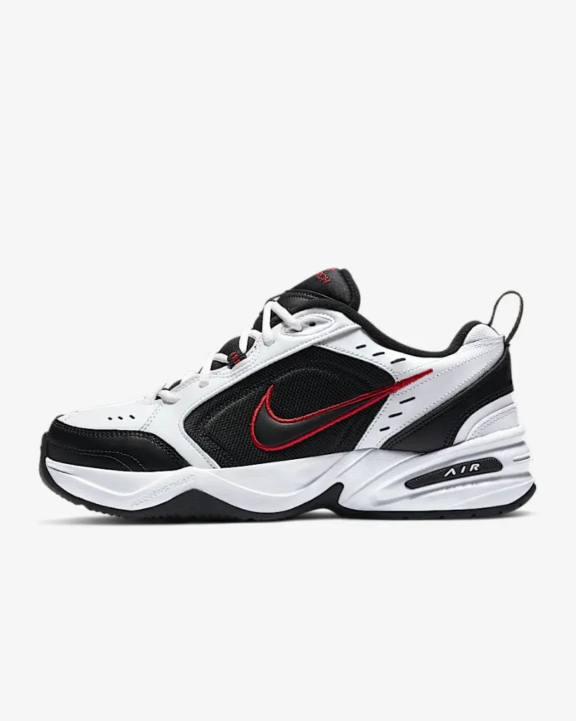 AIR+MONARCH+IV(7).webp