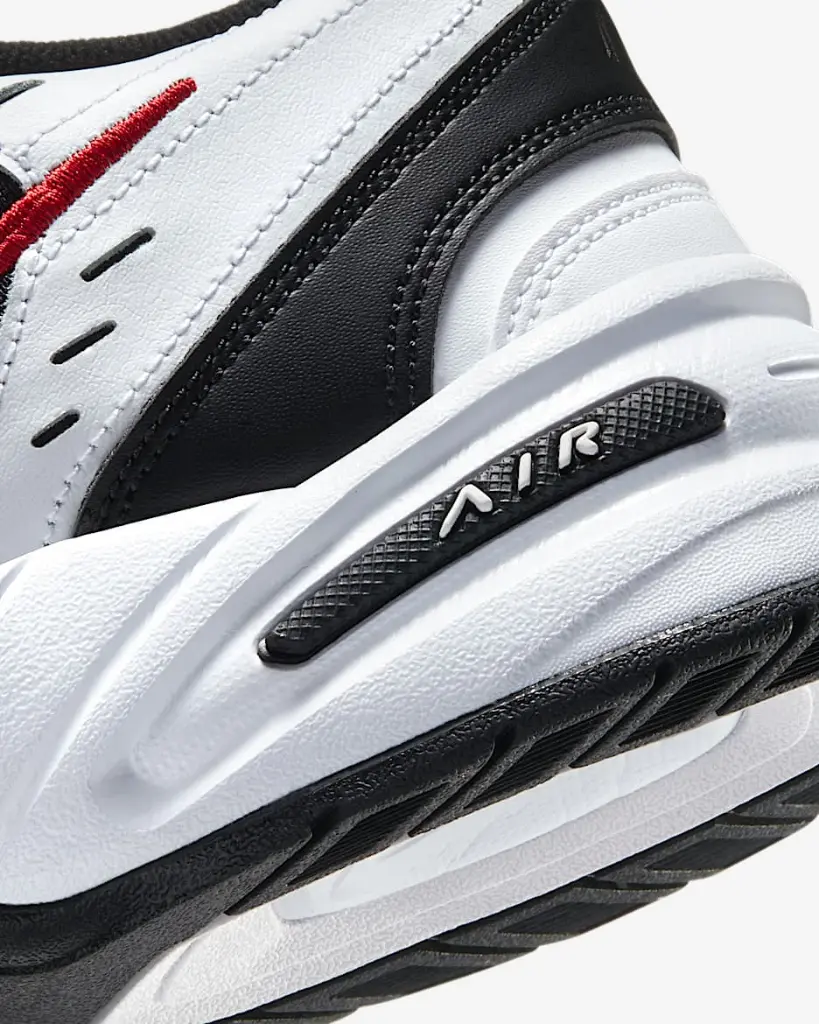 AIR+MONARCH+IV(12).webp