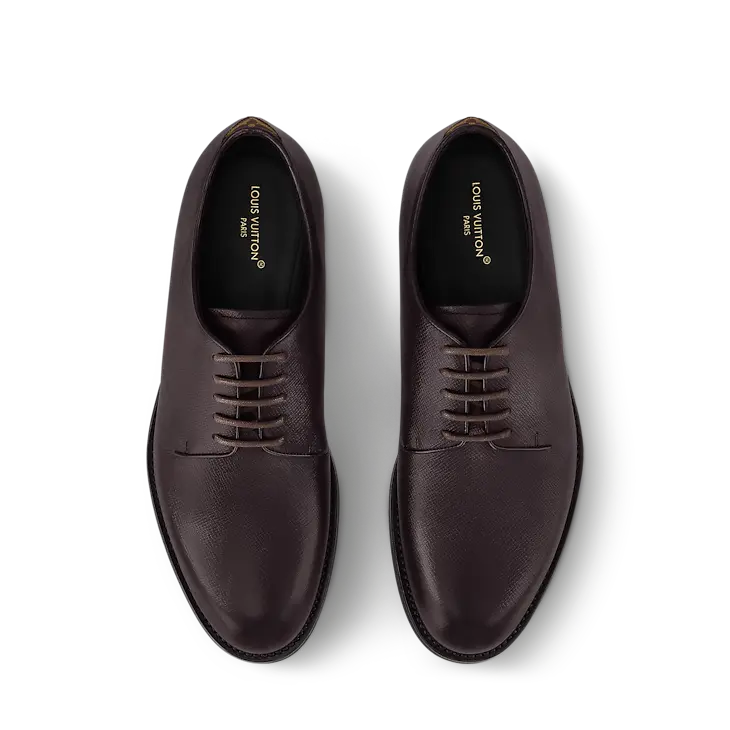 louis-vuitton-lv-flex-derby--BSA006TG30_PM1_Interior view.webp