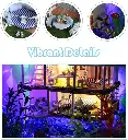 61w1f1A+UqL._AC_UF894,1000_QL80_.webp