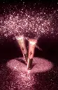 1000016946.webp