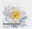 1000016982.webp