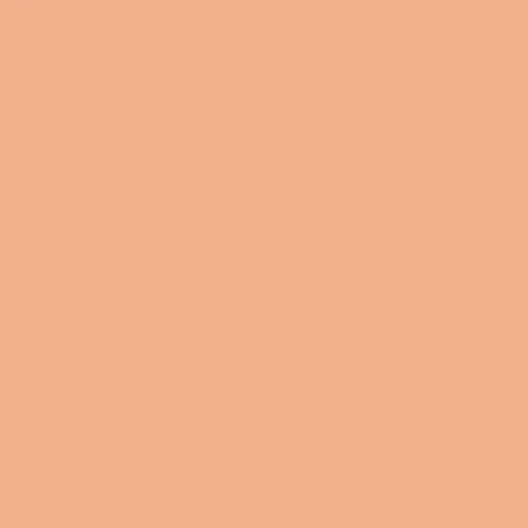 1000017370.webp