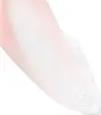 1000017394.webp