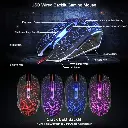 1000020334.webp