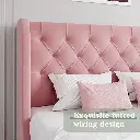 71EVhOJ7sOL._UF894,1000_QL80_FMwebp_.webp