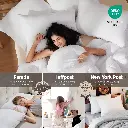 68066cb03e0859907c0b3202-bedsure-pillows-queen-size-set-of-2.webp