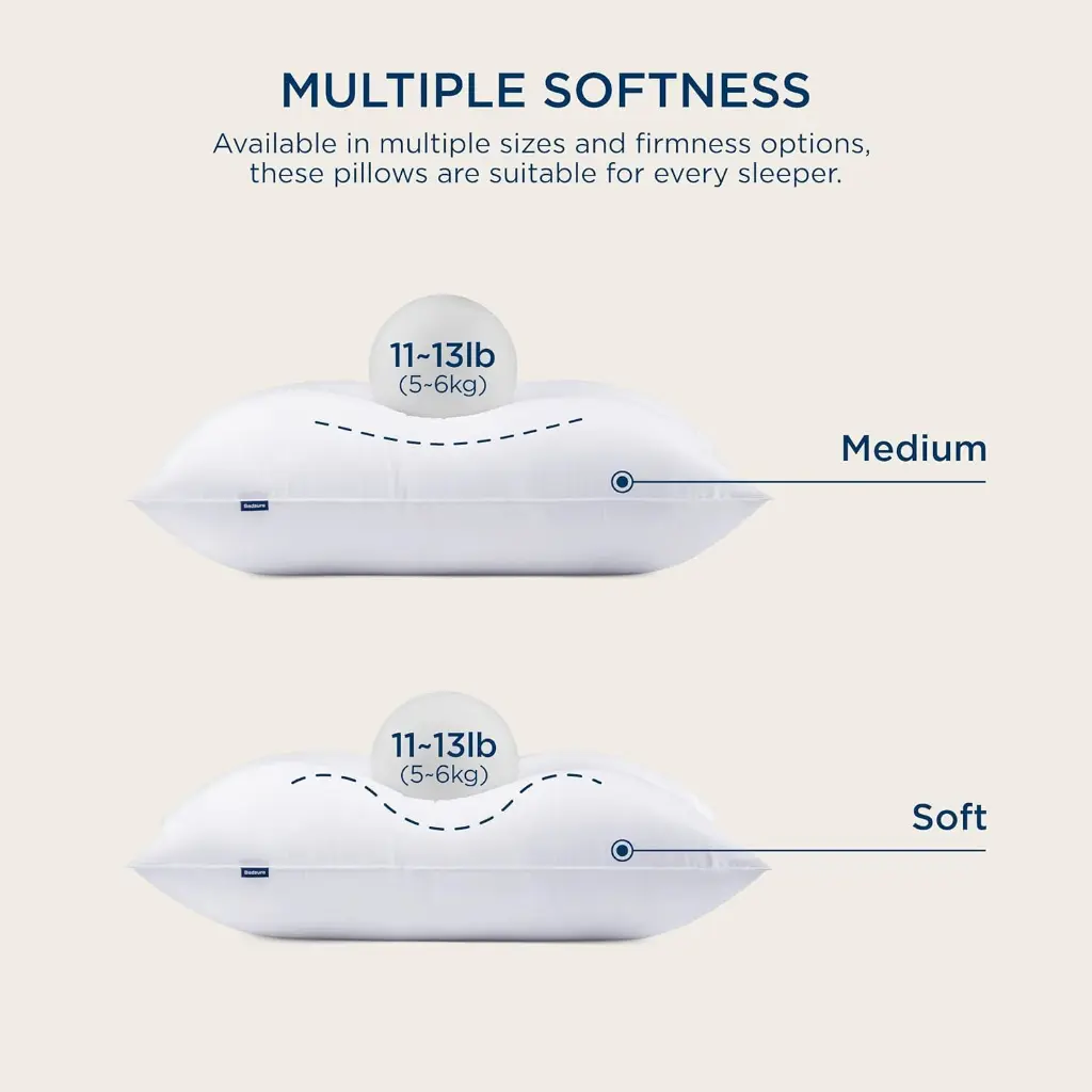68066cb03e0859907c0b3201-bedsure-pillows-queen-size-set-of-2.webp