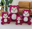 IMG_20250511_182524.webp