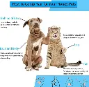 IMG_20250510_091456.webp