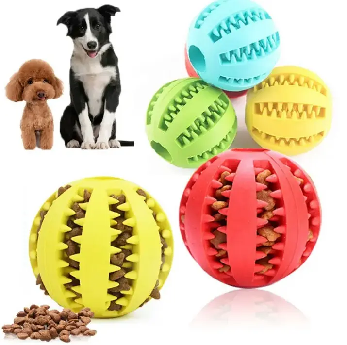 IMG_20250510_091819.webp