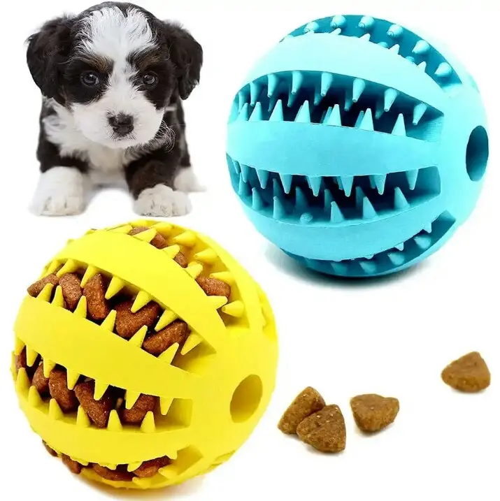 IMG_20250510_091841.webp