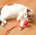 IMG_20250510_091943.webp