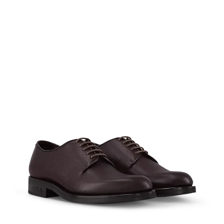 LOUIS VUITTON | LV Flex Derby