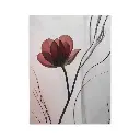 Petal Plush Microfiber Design | Blanket