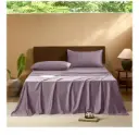 EVERLY | Purple Queen Size Bedsheet