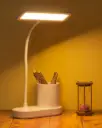 WEIRD WOLF | 3-Color Mode Rechargeable LED | Desk Lamp