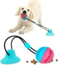 Interactive Dental Chew Toy For Dogs | Pet Central