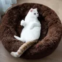 Zexsazone | Cozy Round Donut Per Bed for Cats and Dogs