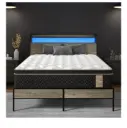 RegalRest | Queen Mattress & Bed