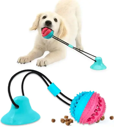 Interactive Dental Chew Toy For Dogs | Pet Central